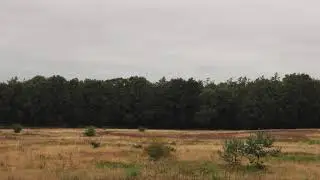 Mooi landschap. Canon 18-55 millimeter lens.