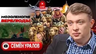 🥵🐪 ЖАРА В АБУ-ДАБИ: СЕДЬМОЙ ПОТ ПОТУЖНЫХ! Рука со свечкой Эпштейна. Украинские свадьбы в 14 - Уралов