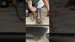 Ford F250 superduty truck bed rust. #diy #shortsvideo #repair #ford #shorts #rust #superduty