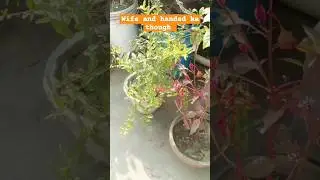 Wife and handed vi ho shkta hai. #plant #gardningtips #farming #sort #reels #jokes #wife #Funny