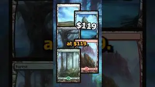These Are The Most Expensive Basic Lands in Existence!