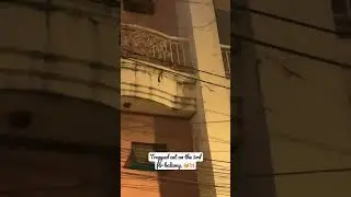 OMG! Cat stuck on 4f building balcony 🥹 #catrescue #shorts