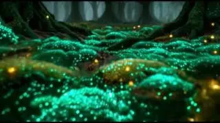 Enchanted Moss Forest