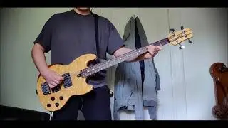 Tool - Reflection (Bass Cover) 2021