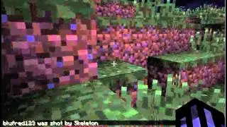 LONEcraft #002 Too Much Death