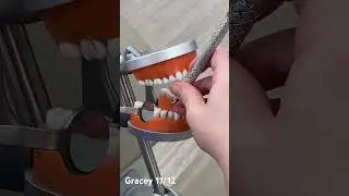 Gracey 11/12