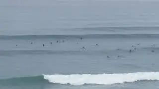 Delmar 15th st. 10/11/2018