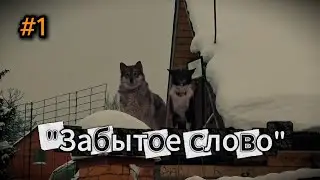 Микрометражка. 1-я серия: Забытое слово  @pstudia #артхаус #документалка #юмор 