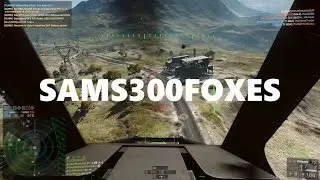 SAMS300FOXES 2