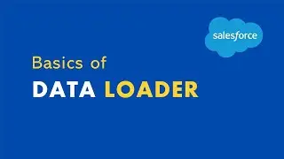 Salesforce Data Management E03 | Data Loader Basics