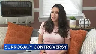 Catholic school teacher placed on leave over surrogacy