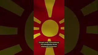 Timeless Tales: The Battle of Chaeronea - Alexanders Rise to Power