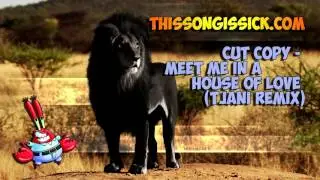 [Deep House] Thissongissick.com - Cut Copy - Meet Me In A House Of Love (TJANI Remix)
