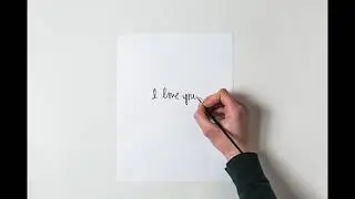 Love Letters - Tarry x Turtle (Official Audio) (Late Night Drive Deluxe)