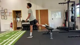 Bulgarian Split Squat