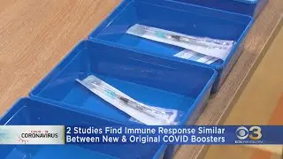 2 studies suggest updated COVID-19 vaccine boosters may not be better than original booster