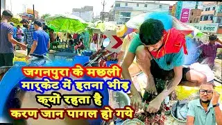 #patna #fish market |jaganpura machhali market PATNA ,HOWLSHEL PRICE