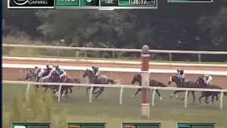 Animate, trained by Jeff Greenhill, wins at Belterra Park on 09/01/2020