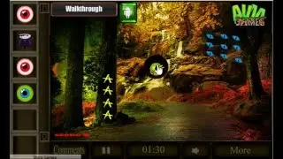 Scotia Forest Escape