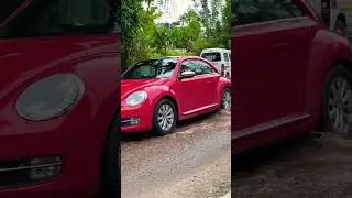 🪲 VW BEETLE