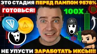 ⚠️ЭТО СИГНАЛ МЕГА ПАРАБОЛИЧЕСКОГО РОСТА! 🚀 ТОНКОИН, DOGS, NOT, HMSTR, СТИКЕРЫ, ПОДАРКИ — ГОТОВЬСЯ!