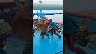 Hiburane wong mayang #fishing #mancingwaderdispotpinggirjalan #mancing #spotmancingwader