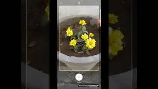 Samsung Bixby vision (identifying things)