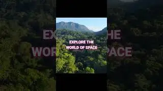 forest green tree mountain nature river amazon @YouTube @amazonfishing @LeoNataFamily