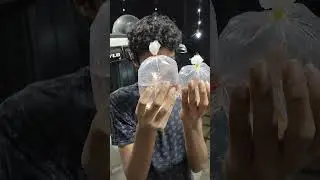 പറഞ്ഞ വാക്ക് ഞാൻ പാലിച്ചു | new addon cray fish🦞🦞| #rer #rerpets #crayfish #shorts