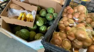 Growing number of food bank clients are fully employed: report