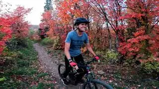 Trail Features at North Fork Park