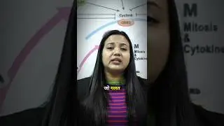 JDU MLA Vibha Devi Viral Video 🔥 #jdu #mla #bihar #vibhadevi #biharassembly #election #bjp