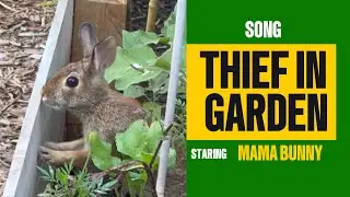🐰🎶 The Adorable Mama BUNNY THIEF SONG That Will Steal Your Heart!