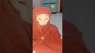 hahaaaa