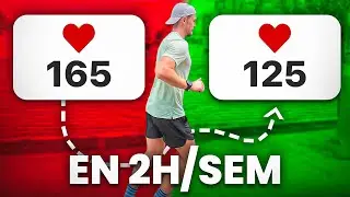 Comment courir VITE avec une fréquence cardiaque BASSE (même à 2h/sem)