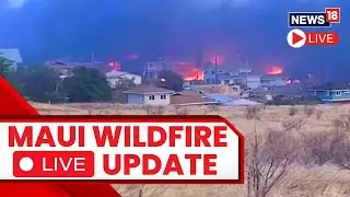Maui Wildfires 2023 | Thousands Of Homes & Commercial Buildings Burnt |Maui Fires Today Live |News18