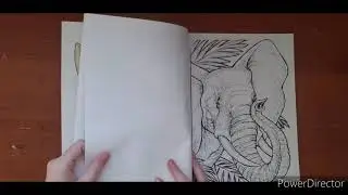 Coloring Book Collection part 3: Creative Haven