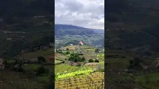 Douro Valley , Portugal 🇵🇹. #barqueiros #vineyards #solo #explore  #peace #music #guitar #portugal