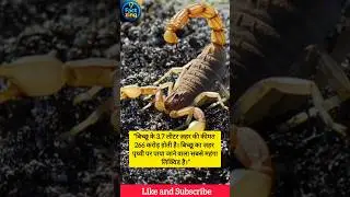Amazing Facts | Scorpio 🦂 #facts #shorts #youtubeshorts