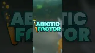 Optimizing Experience Gains in Abiotic Factor