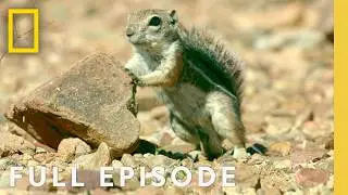 Surviving Earth's Most Extreme Climates (Full Episode) | Hostile Planet: Compilation | Nat Geo
