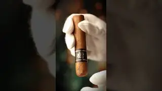 Straight cut | Umnum Double Robusto #cigar #asmrsounds