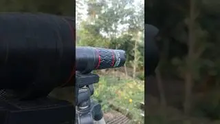 Apexel 28x Zoom Lens Photography Video || Wildlife Bird Photography #apexellens #zoomlens