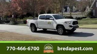 Pest Control-Friendly Landscaping Tips