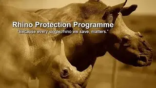 The Rhino Protection Programme