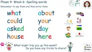 Phase 4 Week 6 - Spelling