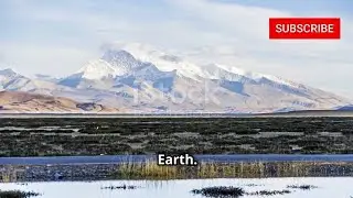 Fact OR Fake? Can you Guess the Truth