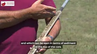 Venice Lagoon. The salt marshes and what they need to survive