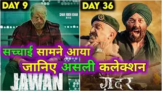 Jawan Day 9 Vs Gadar 2 Day 36 | सच्चाई नहीं जानते आप लोग | असली कलेक्शन बहुत दुखदायक है |