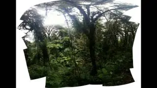 Semaine du son 1   L'ACSR et Thomas Turine pr&eacute;sentent ''Birdless'' d'Irvic D'Olivier